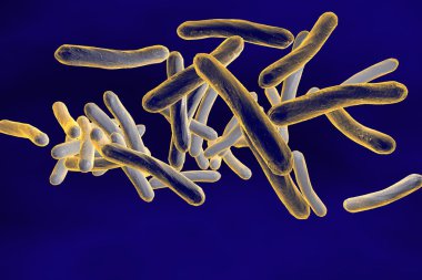 Mycobacterium tuberculosis clipart
