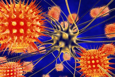 Neuron and viruses, viral encephalitis