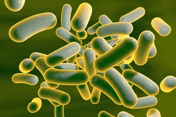 Bacteria — Stock Photo, Image