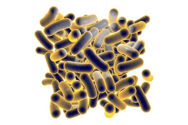 Bacteria — Stock Photo, Image