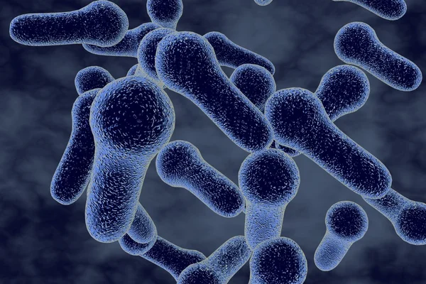 Batteri Clostridium tetani o altre clostridi — Foto Stock