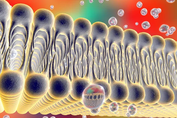 Cell membrane — Stock Photo, Image