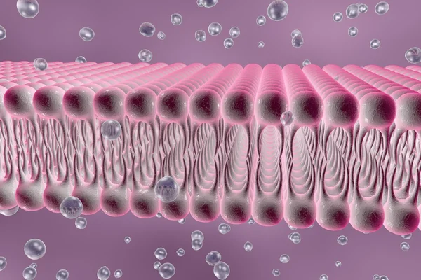 Cell membrane — Stock Photo, Image