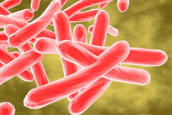 Tuberculosis de la micobacteria —  Fotos de Stock