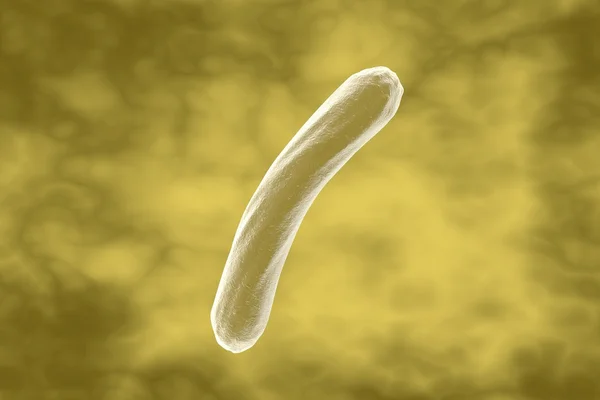 Mycobacterium tuberculosis — Stock Photo, Image