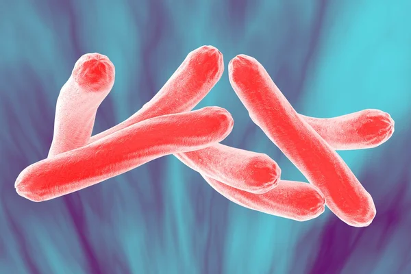 Mycobacterium tuberculosis — Stock Photo, Image