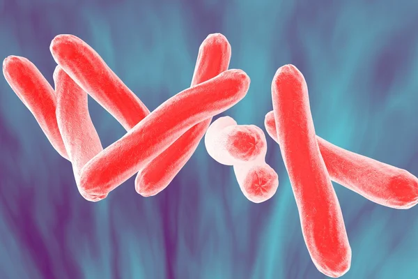 Tuberculosis de la micobacteria —  Fotos de Stock