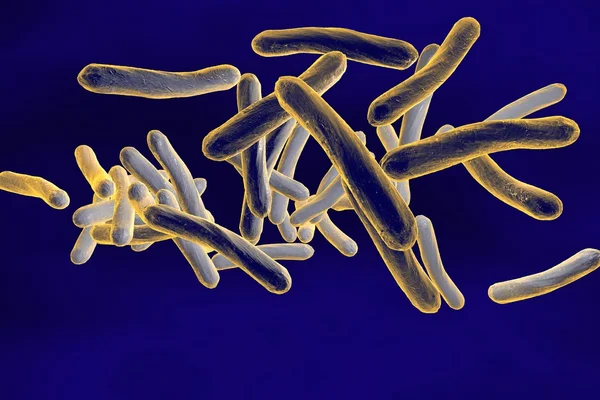 Mycobacterium φυματίωση — Φωτογραφία Αρχείου