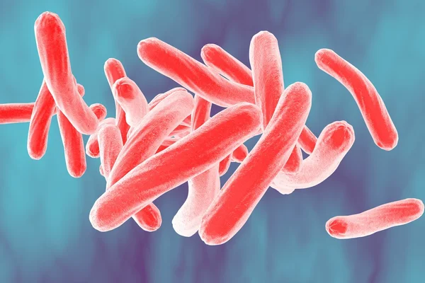 Mycobacterium tuberculosis — Stockfoto