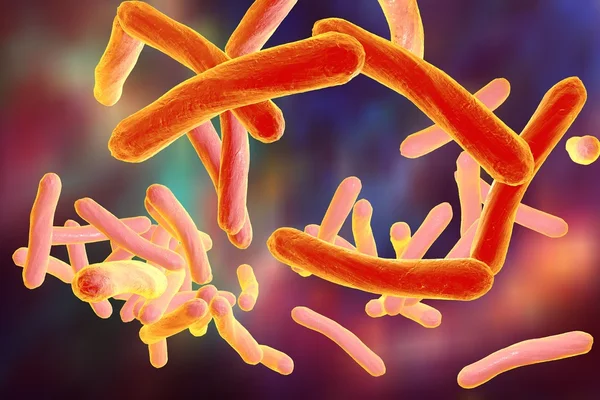 Mycobacterium φυματίωση — Φωτογραφία Αρχείου