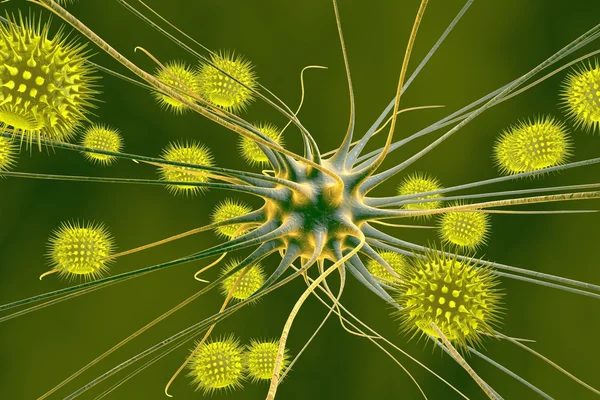 Нейрон и вирусы, вирусный энцефалит — стоковое фото