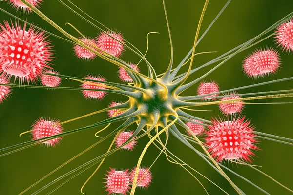 Neuron and viruses, viral encephalitis — Stok fotoğraf