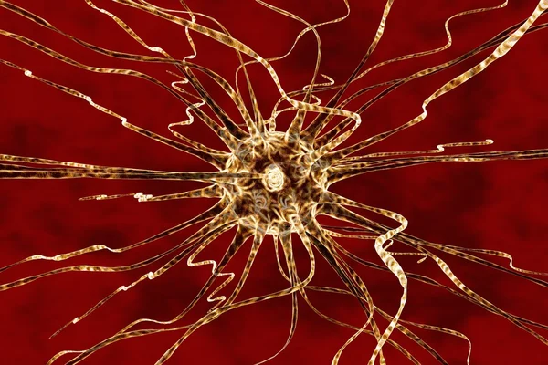 Neuron — Stock Photo, Image