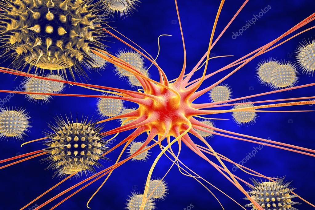 вирусное заболевание головы. пути инфицирования менингита. менингит воспаление мозговых оболочек схема.