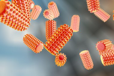 Rabies virus clipart