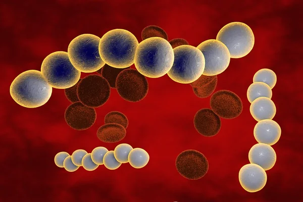 Bacterias Streptococcus — Foto de Stock