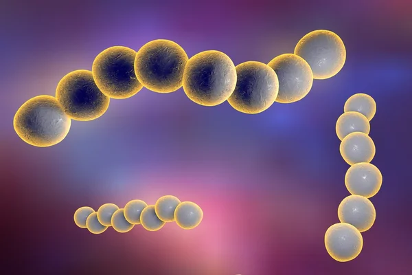 Streptococcus baktériumok — Stock Fotó