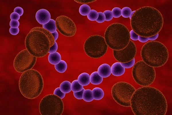 Bakteriler streptokok — Stok fotoğraf