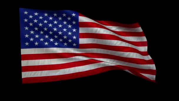 USA 's flag udvikler sig hurtigt i vinden – Stock-video