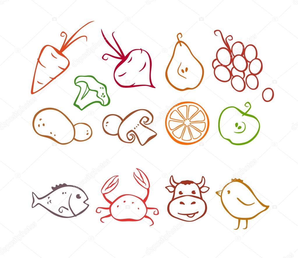 Vegetables, fruits and meat