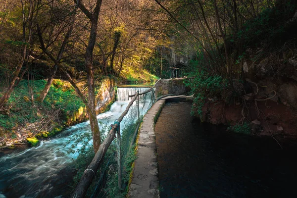 Krupajsko Vrelo Krupaj Springs Serbien Vacker Vattenkälla Med Ett Litet — Stockfoto