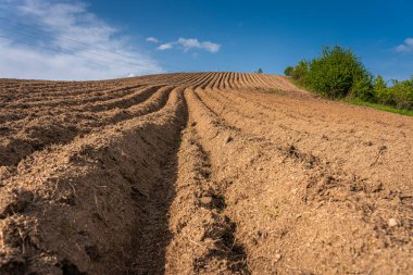 Pürüzsüz mavi gökyüzünün altında, beyaz bulutlu