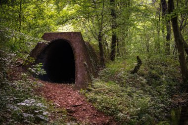 Ormanın ortasında alışılmadık bir tünel.