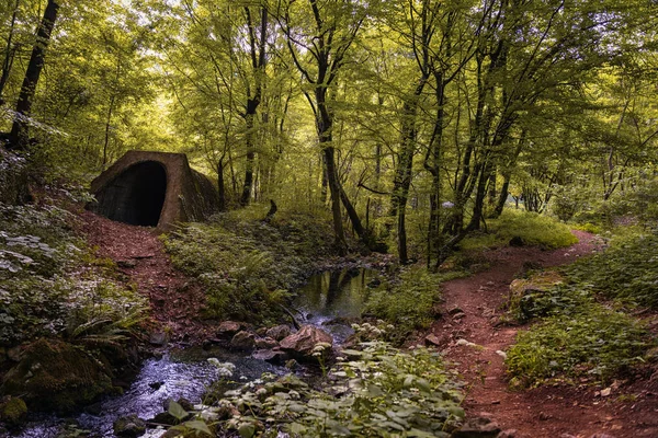 Ovanlig Tunnel Och Flod Mitt Skog — Stockfoto