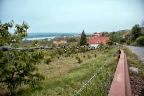 Sırbistan 'ın Ritopek kentinde bir yolun yanındaki dikenli teller