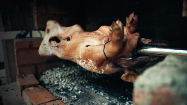 Primer Plano Cerdo Asado Serbio Pecenje Pincho Que Entrega Ceniza — Vídeo de stock