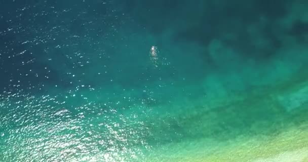 Lone Man Swimming Surface Beautiful Antisamos Beach Kefalonia — Stock Video