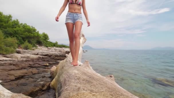 美丽的姑娘在海滩边的圆木上散步 — 图库视频影像