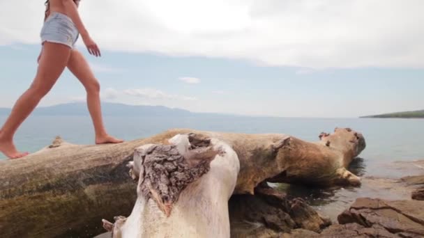 Όμορφο Κορίτσι Πηδάει Στο Κούτσουρο Δίπλα Στην Παραλία — Αρχείο Βίντεο