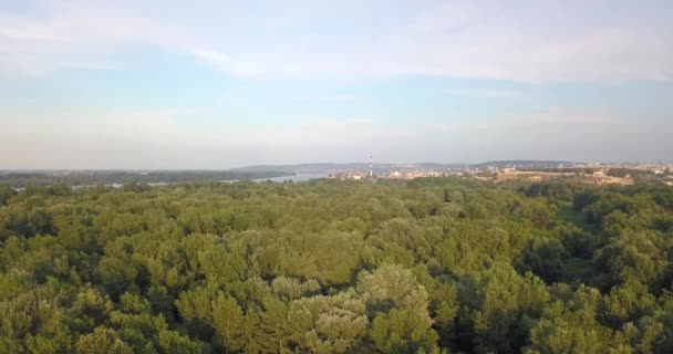 Drönare Flyger Över Stora Kriget Djungel Belgrad Serbien — Stockvideo