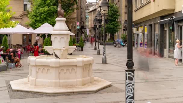 Oude Stadsplein Kod Petla Haan Plein Time Lapse Belgrado — Stockvideo