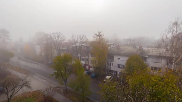 베오그라드 의작은 지역에서 안개낀 겨울날이 줄어들었다 — 비디오