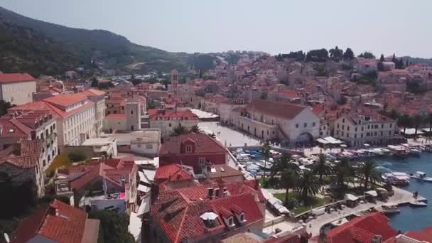 Foto Aerea Persone Che Camminano Una Piazza Accanto Alla Cattedrale — Video Stock