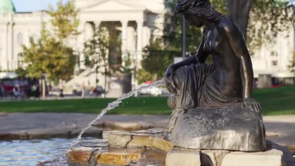 Fontaine Eau Dans Parc Public Devant Chambre Parlement Belgrade — Video