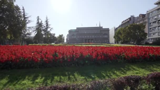 Casa Del Parlamento Belgrado Hermoso Parque Frente — Vídeo de stock