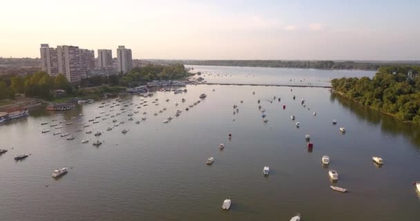 Drone Vista Puerto Barco Zemun Belgrado Durante Puesta Del Sol — Vídeos de Stock