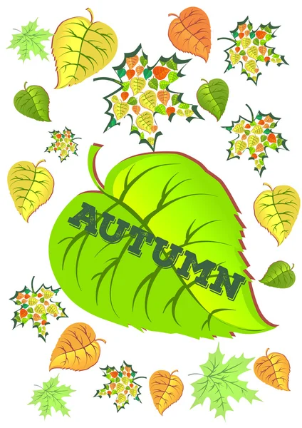 Hojas de otoño de fondo, se puede utilizar como banner o cartel. Ilustración vectorial . — Vector de stock