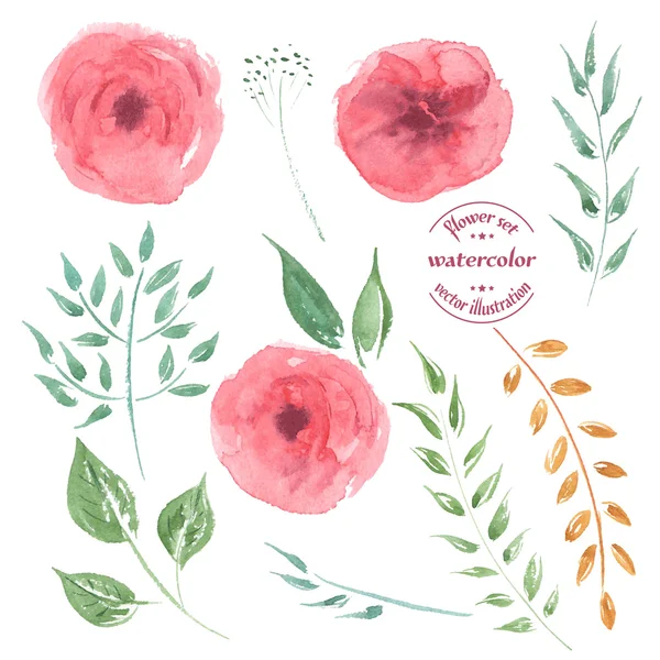 Rosen Blumen Aquarell Set — Stockvektor