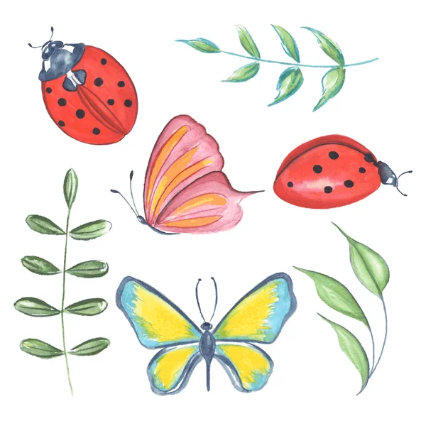 Hojas, mariquitas y mariposa Conjunto acuarela — Vector de stock