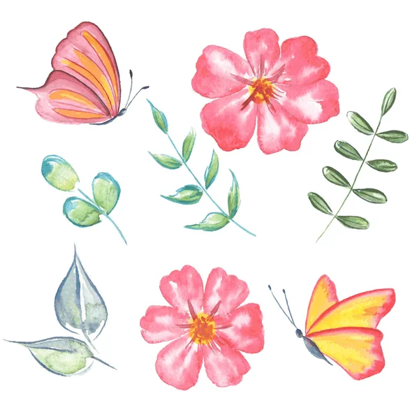 Flores, folhas e borboleta Conjunto de aquarela —  Vetores de Stock