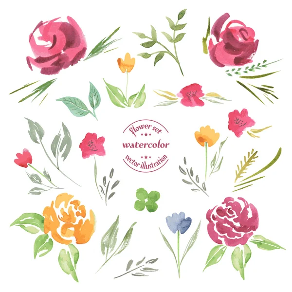 Conjunto de Acuarelas Flores, elementos — Vector de stock