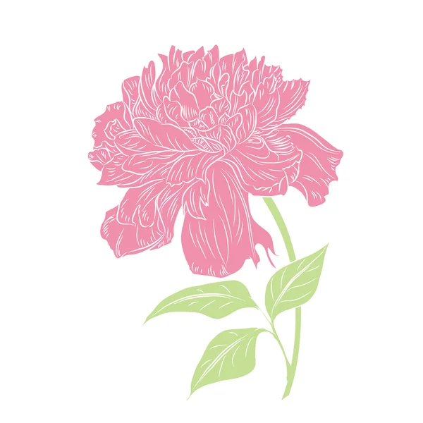 Декоративный цветок пиона — стоковый вектор