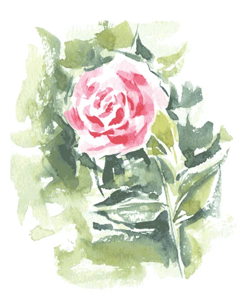 Abstraktes Aquarell rote Rose — Stockvektor