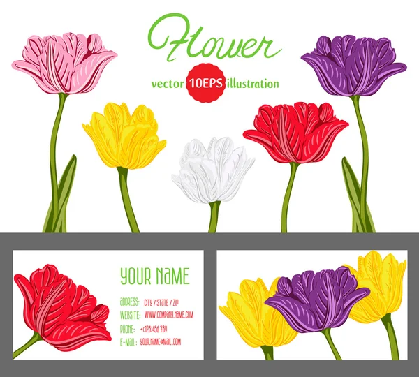 Plantillas con fondo de tulipanes . — Vector de stock