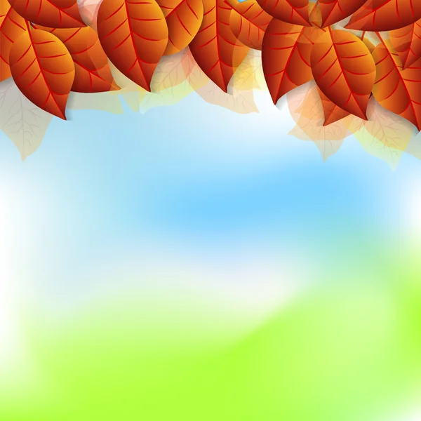 Autumn leaves on sunny  sky background — Stockový vektor