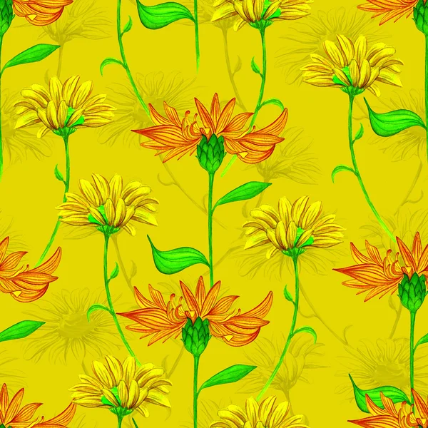 Watercolor seamless daisies floral background — Stock Photo, Image